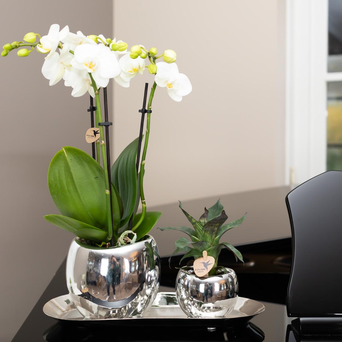 Kolibri Home | Teller oval - Ovales Tablett Ø30cm - Silver