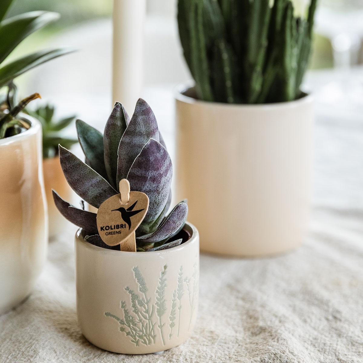 Kolibri Home | Floraler Blumentopf - Light Blue - 6cm