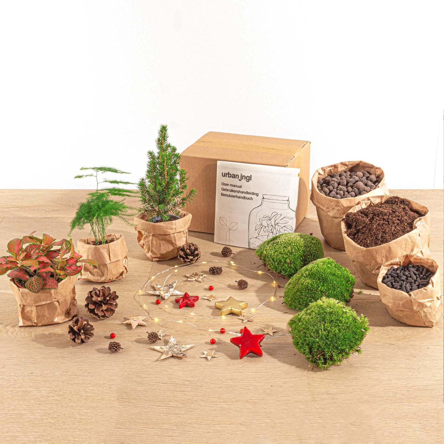 Planten terrarium pakket - Mini-kerstboom - 3 planten - Navulling & Startpakket - DIY Christmas