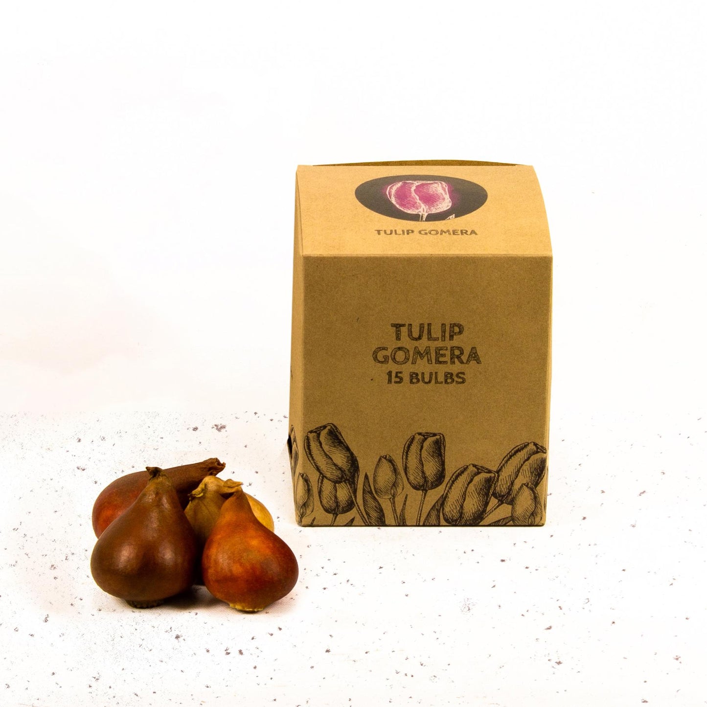 Flowerbulbs Amsterdam - Gomera - 15 Blumenzwiebeln - Gr��e 12+