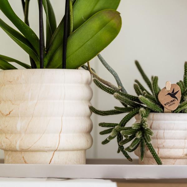 Kolibri Home | Kombi-Angebot - Marble Light Töpfe