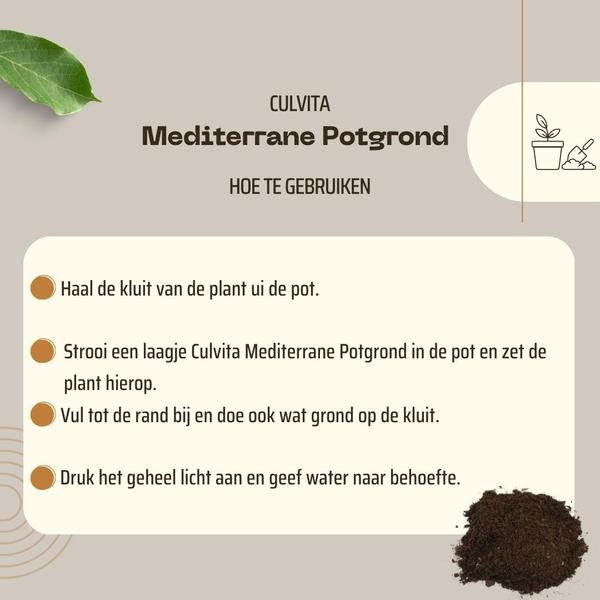Culvita - Mediterrane Blumenerde 40 Liter inklusive RhizoPlus - Blumenerde für mediterrane Pflanzen u.a. geeignet für Olivenbäume, Zitruspflanzen und Palmen