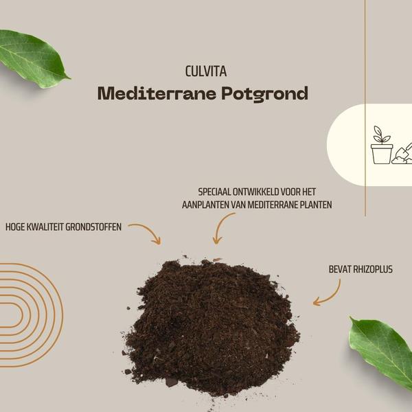 Culvita - Mediterrane Blumenerde 40 Liter inklusive RhizoPlus - Blumenerde für mediterrane Pflanzen u.a. geeignet für Olivenbäume, Zitruspflanzen und Palmen