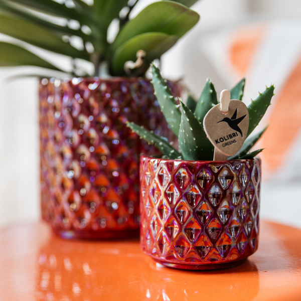 Kolibri Home | Diamond Pearl Dekotopf - Red - Ø6cm