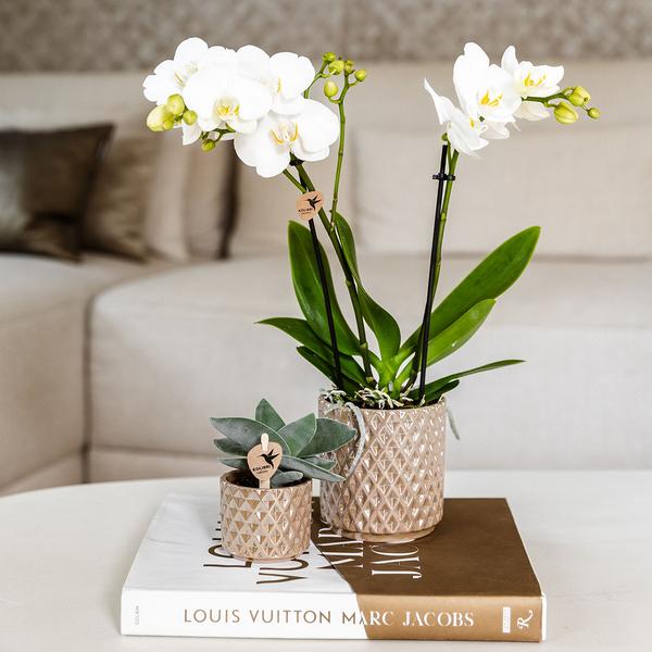 Kolibri Home | Diamond Pearl Dekotopf - Sand - Ø9cm