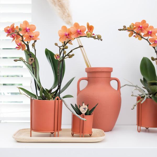 Kolibri Home | Ovales Tablett aus Bambus