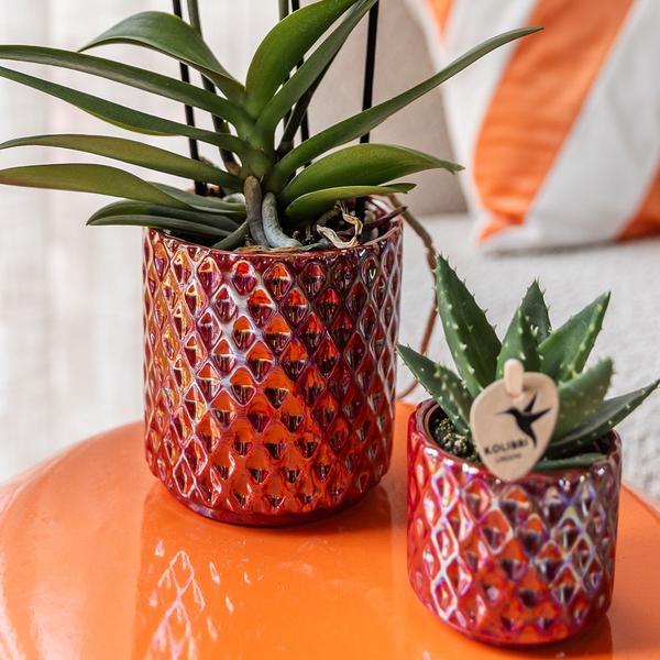 Kolibri Home | Diamond Pearl Dekotopf - Red - Ø9cm