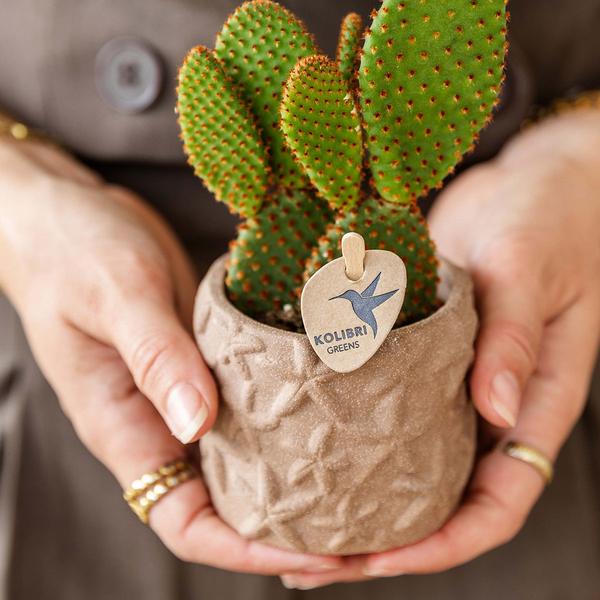 Kolibri Home | Star Fish Dekotopf - Sand - Ø6cm