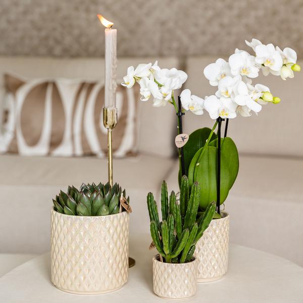 Kolibri Home | Diamond Pearl Dekotopf - Travertine - Ø6cm