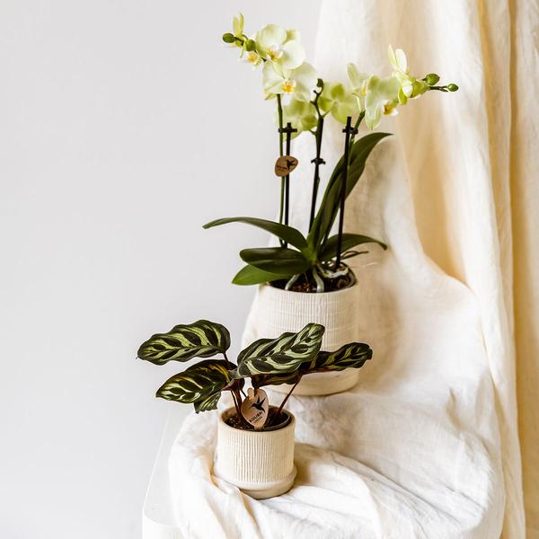 Kolibri Home | Bali Dekotopf - Off White - Ø9cm