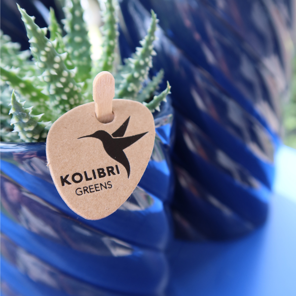 Kolibri Home | Candy Dekotopf | Hoch - Blue - Ø6cm