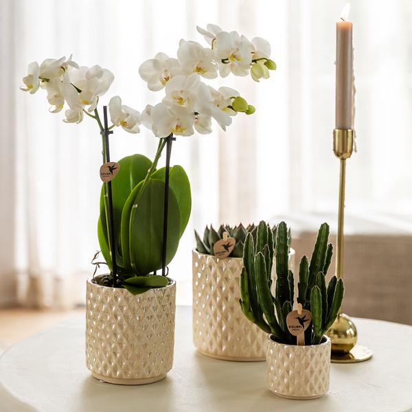 Kolibri Home | Diamond Pearl Dekotopf - Travertine - Ø9cm