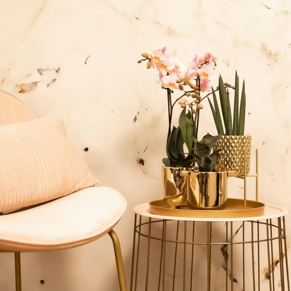 Kolibri Home | Pflanzenständer - Goldener Metall-Pflanzenständer Ø12cm