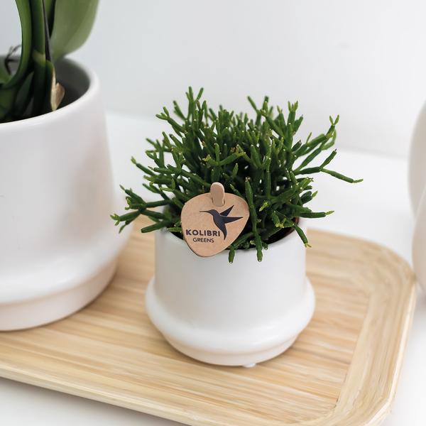 Kolibri Home | Ovales Tablett aus Bambus