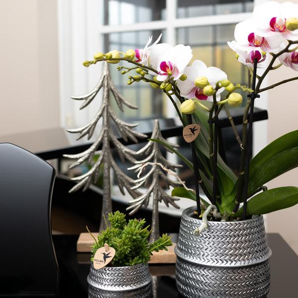 Kolibri Home | Groove Blumentopf - Goldener Keramik-Topf - Ø12cm