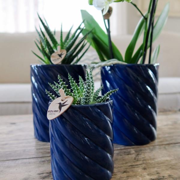 Kolibri Home | Candy Dekotopf | Hoch - Blue - Ø6cm