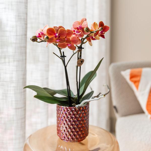 Kolibri Home | Diamond Pearl Dekotopf - Red - Ø9cm