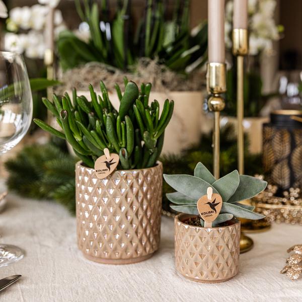 Kolibri Home | Diamond Pearl Dekotopf - Sand - Ø9cm