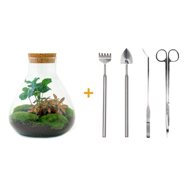 Flaschengarten - Sammie Coffea - ↕ 26 cm - Normal