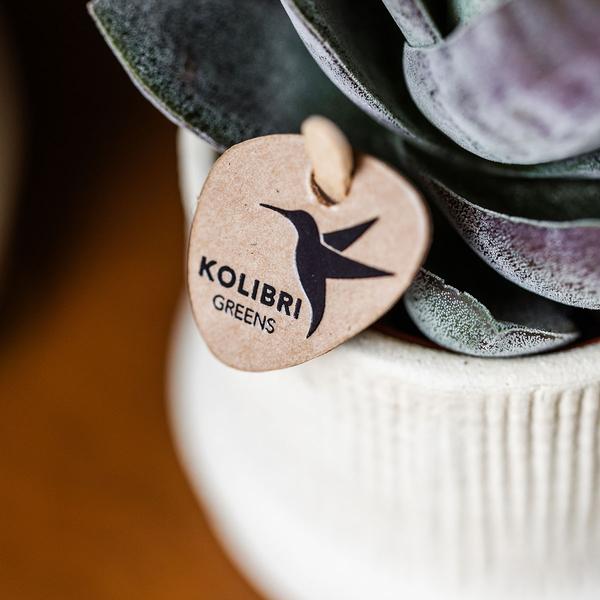 Kolibri Home | Bali Dekotopf - Off White - Ø9cm