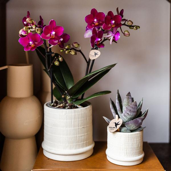 Kolibri Home | Bali Dekotopf - Off White - Ø9cm