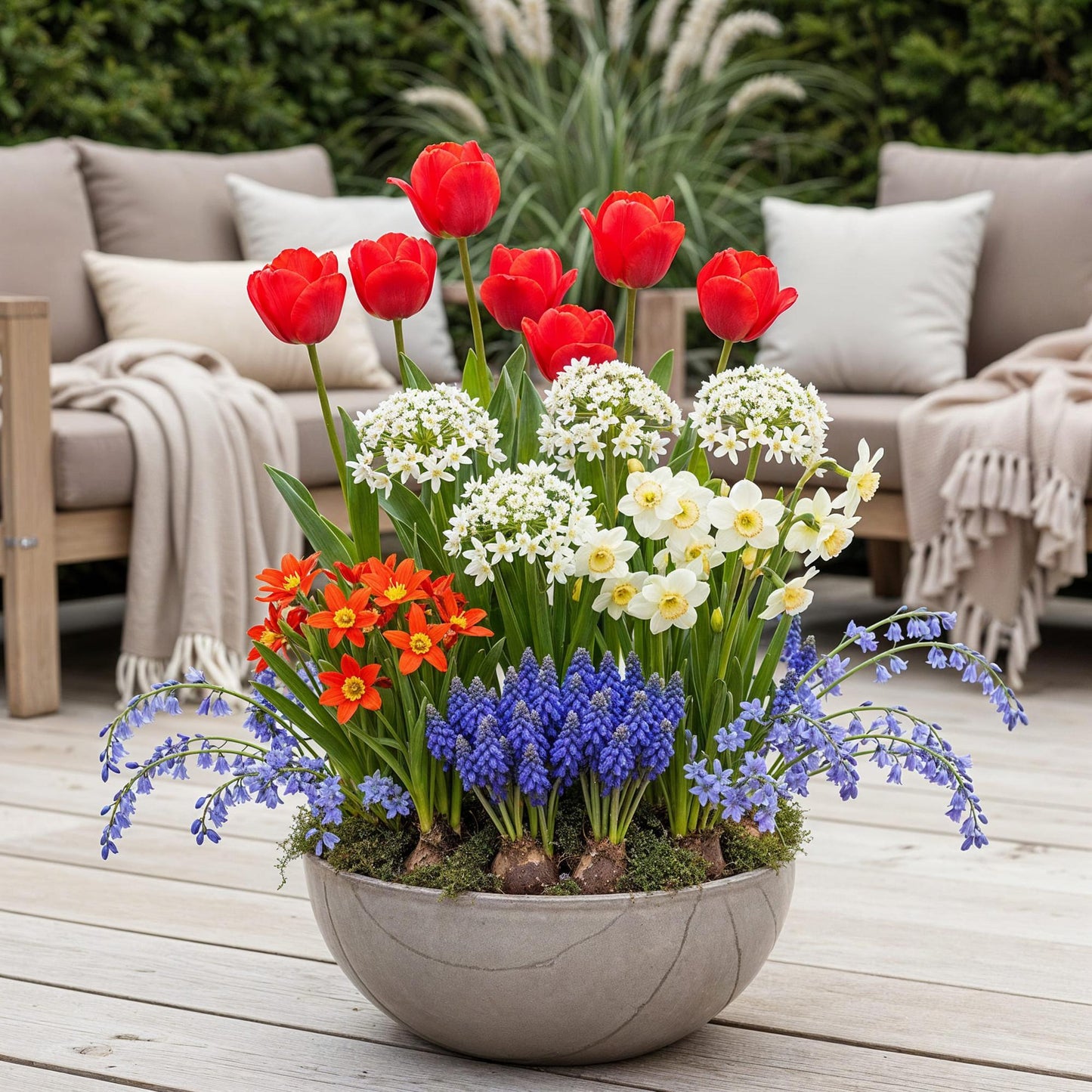 GreenboutiQ - Blumenzwiebeln - Bulbs From Holland - Verschiedene Farben - 125 Stück - Geschenkverpackung