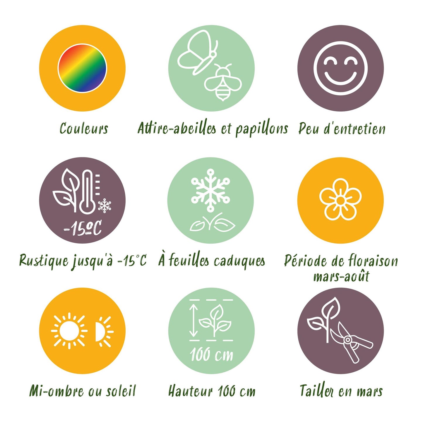 GreenboutiQ - Staudenpaket - Bienen- und Schmetterlingsanziehend - 24 Stauden - Für 3 m2 - Verschiedene Farben - Pflegeleicht - Topf 11cm