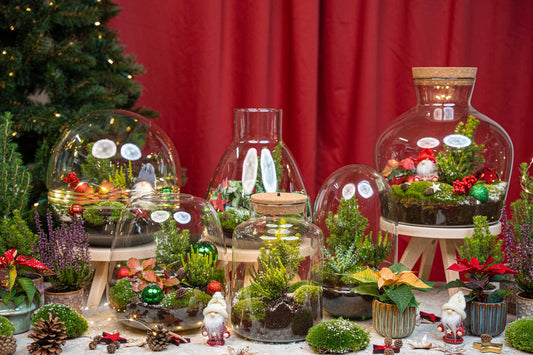 Tinsel Kerstmis terrarium - Planten terrarium  - DIY kit Christmas - Ø 19 cm ↑ 20 cm