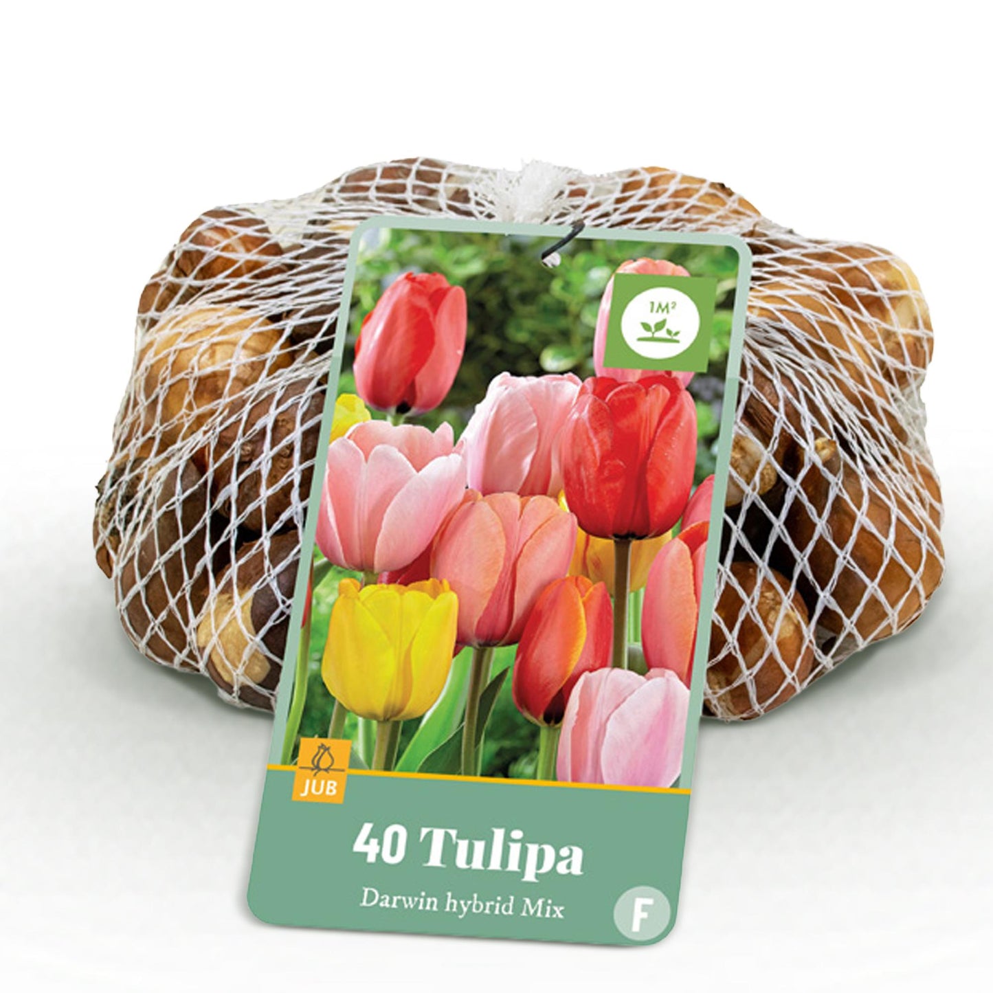 GreenboutiQ - Blumenzwiebeln - Tulpe Darwin-Hybride Mischung - Verschiedene Farben - 40 Stück - Zwiebelgröße 10/12