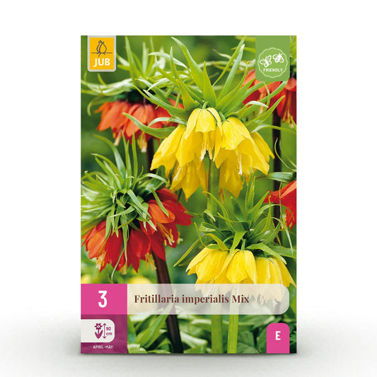 GreenboutiQ - Blumenzwiebeln - Fritillaria Imperialis Mix - Farbe Gelb und Orange - 3 Stück - Zwiebelgröße 18/20 - XXL Pack