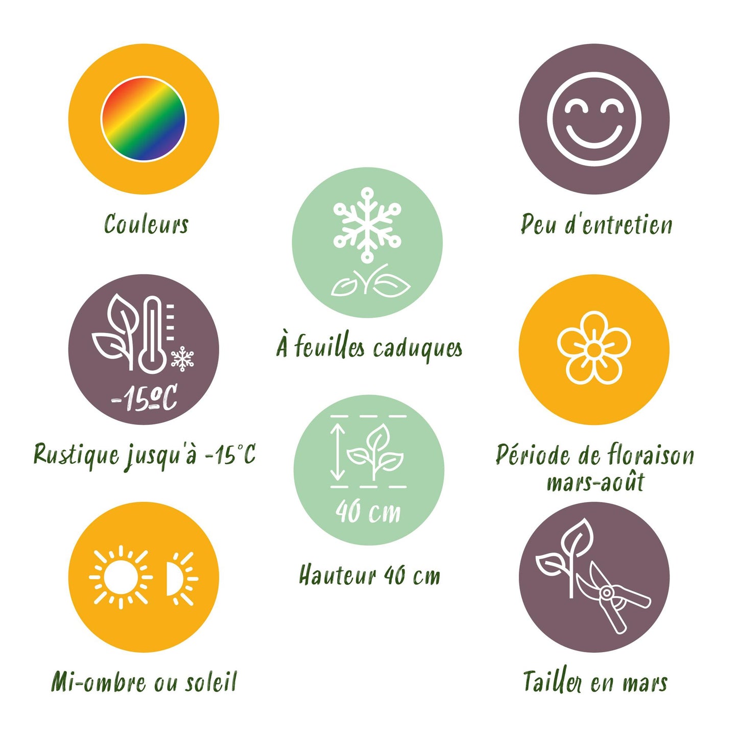 GreenboutiQ - Staudenpaket - Bodendecker - 8 Stauden - Für 1 m2 - Verschiedene Farben - Wenig Pflege - Topf 11cm