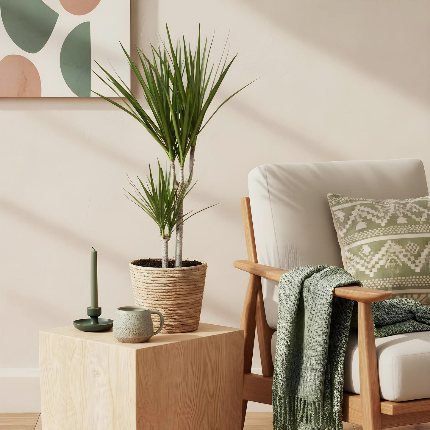 Green boutiQ - Zimmerpflanzen - Dracaena Marginata - Drachenbaum - Pflegeleicht - mit Korb - Grün - 2 Pflanzen - Topf 17cm - Höhe 70-80cm