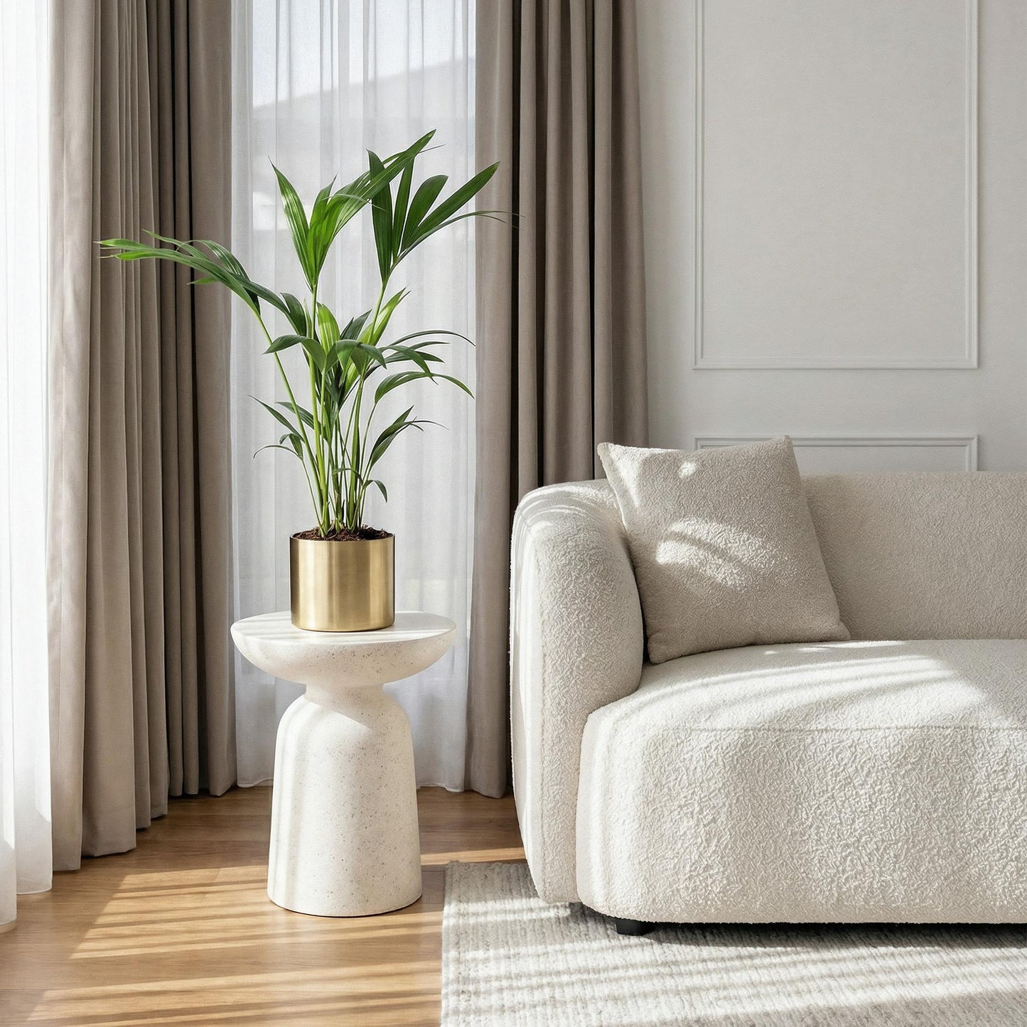 Green boutiQ - Zimmerpflanze - Howea Forsteriana - Kentia-Palme - Wenig Pflege - Grün - 2 Pflanzen - Topf 17cm - Höhe 70-75cm