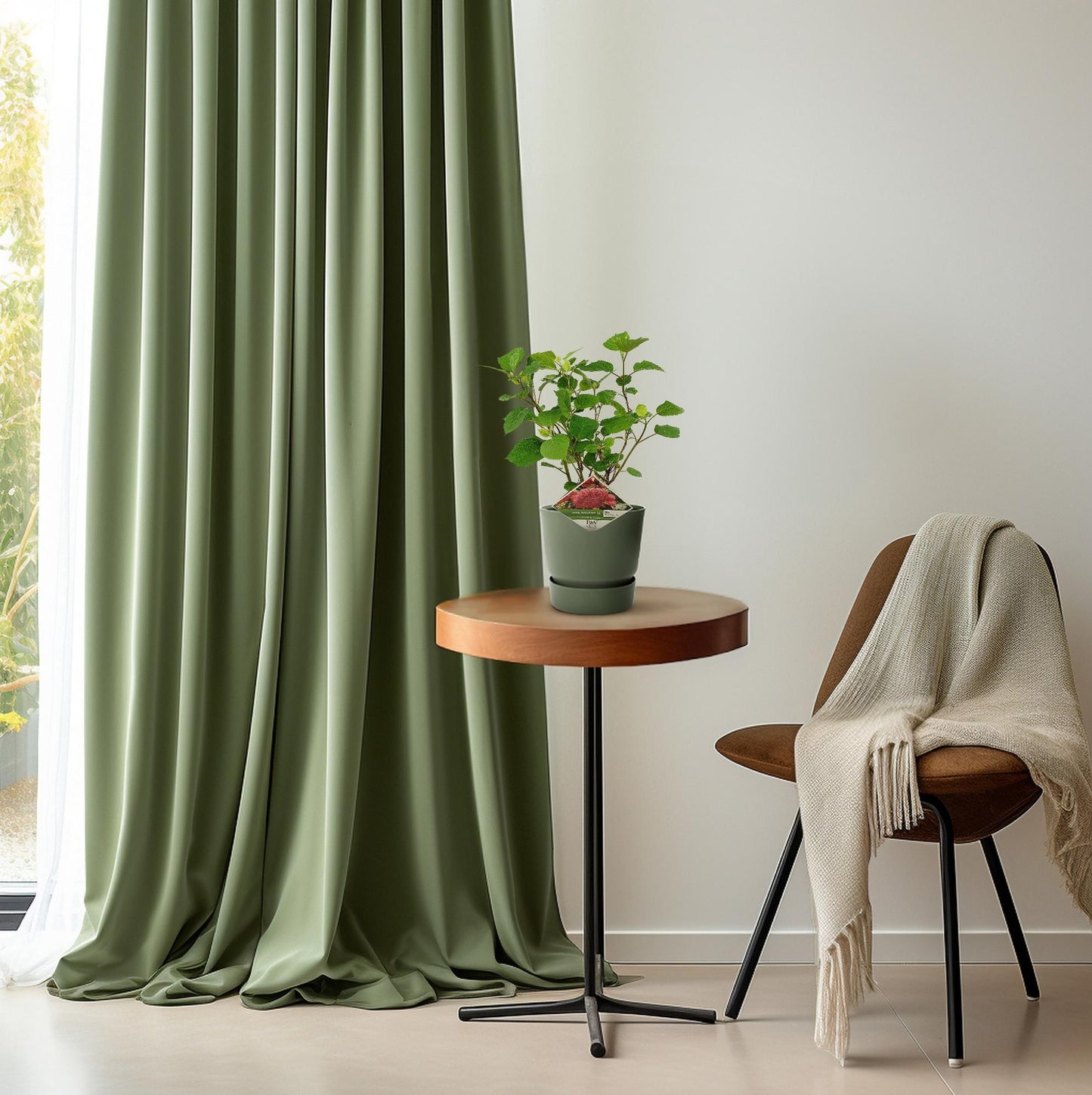 Hydrangea arbo. 'Pink Annabelle' - Ø19cm - ↕30cm