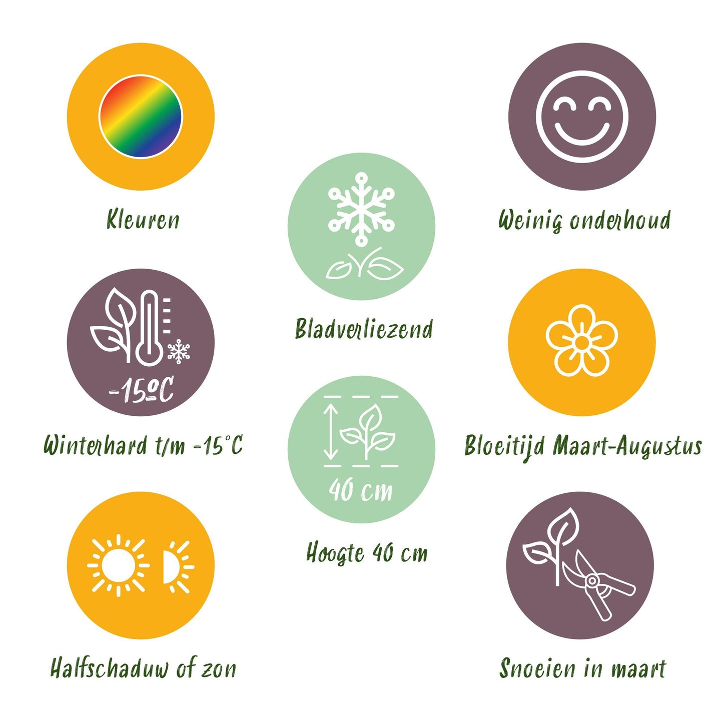 GreenboutiQ - Staudenpaket - Bodendecker - 8 Stauden - Für 1 m2 - Verschiedene Farben - Wenig Pflege - Topf 11cm