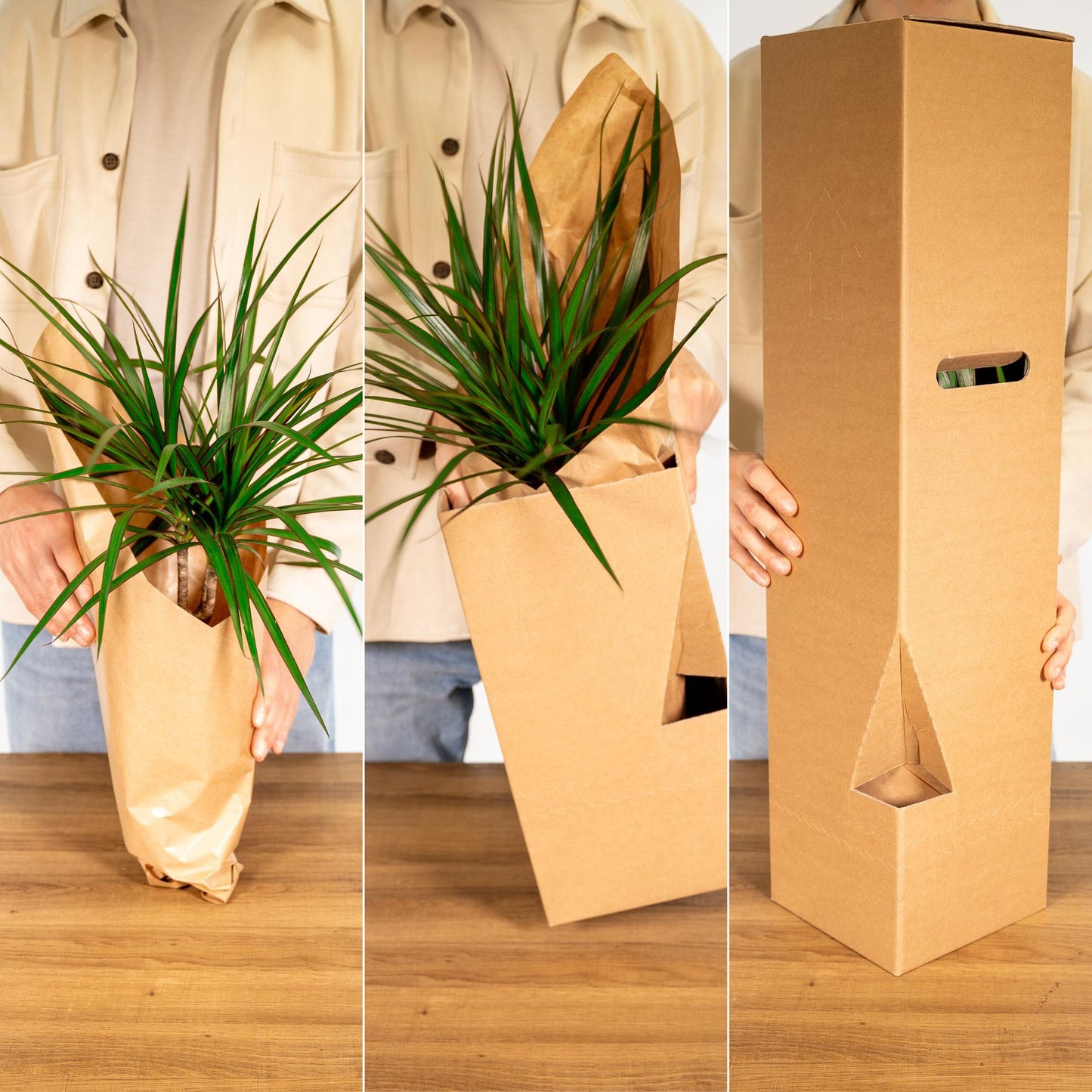Olea - Ø19cm - ↕90cm