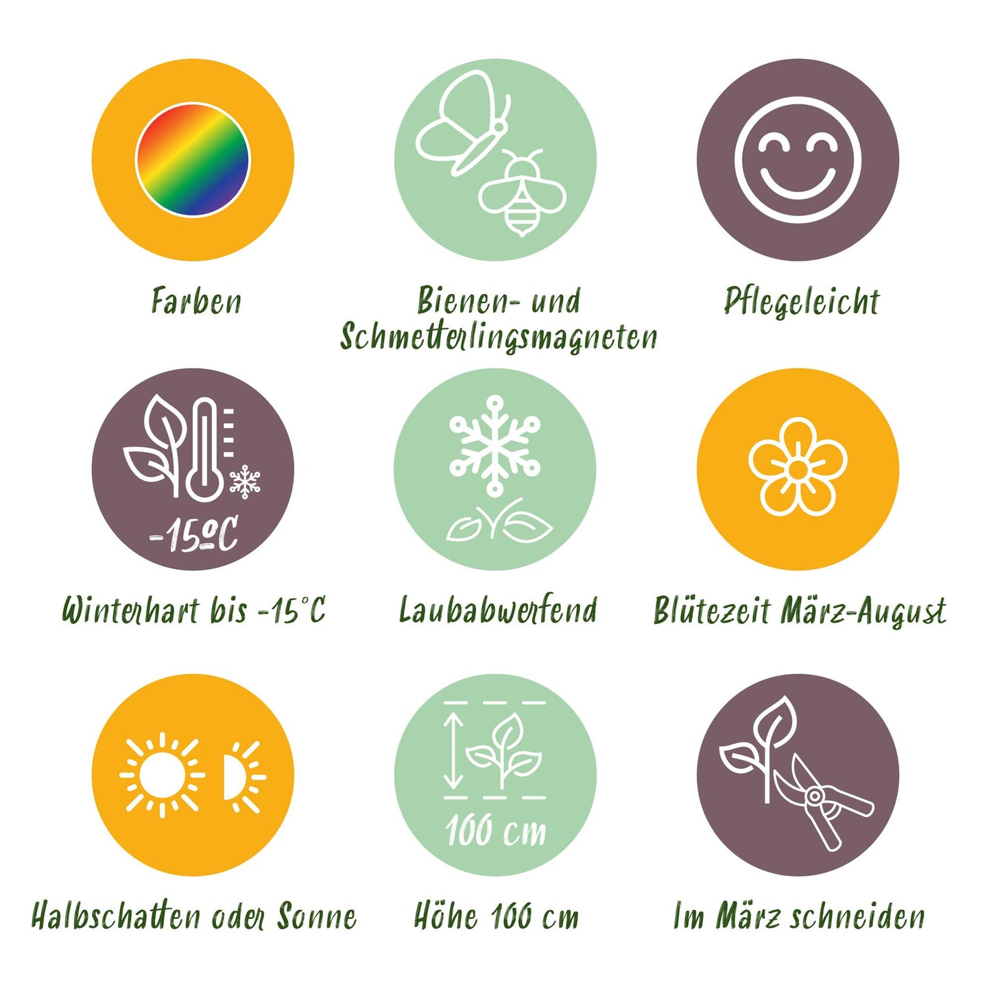 GreenboutiQ - Staudenpaket - Bienen- und Schmetterlingsanziehend - 8 Stauden - Für 1 m2 - Verschiedene Farben - Wenig Pflege - Topf 11cm