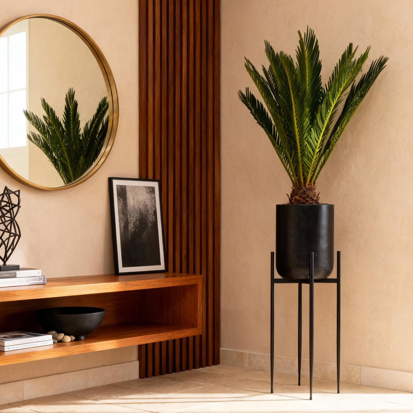 Green boutiQ - Zimmerpflanze - Cycas revoluta - Palmenfarn - Wenig Pflege - Grün - 2 - Topf 14cm - Höhe 45cm