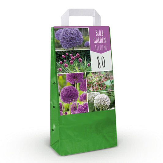 GreenboutiQ - Blumenzwiebeln - Bulb Garden Allium Mix - Verschiedene Farben - 80 Stück - Geschenkverpackung