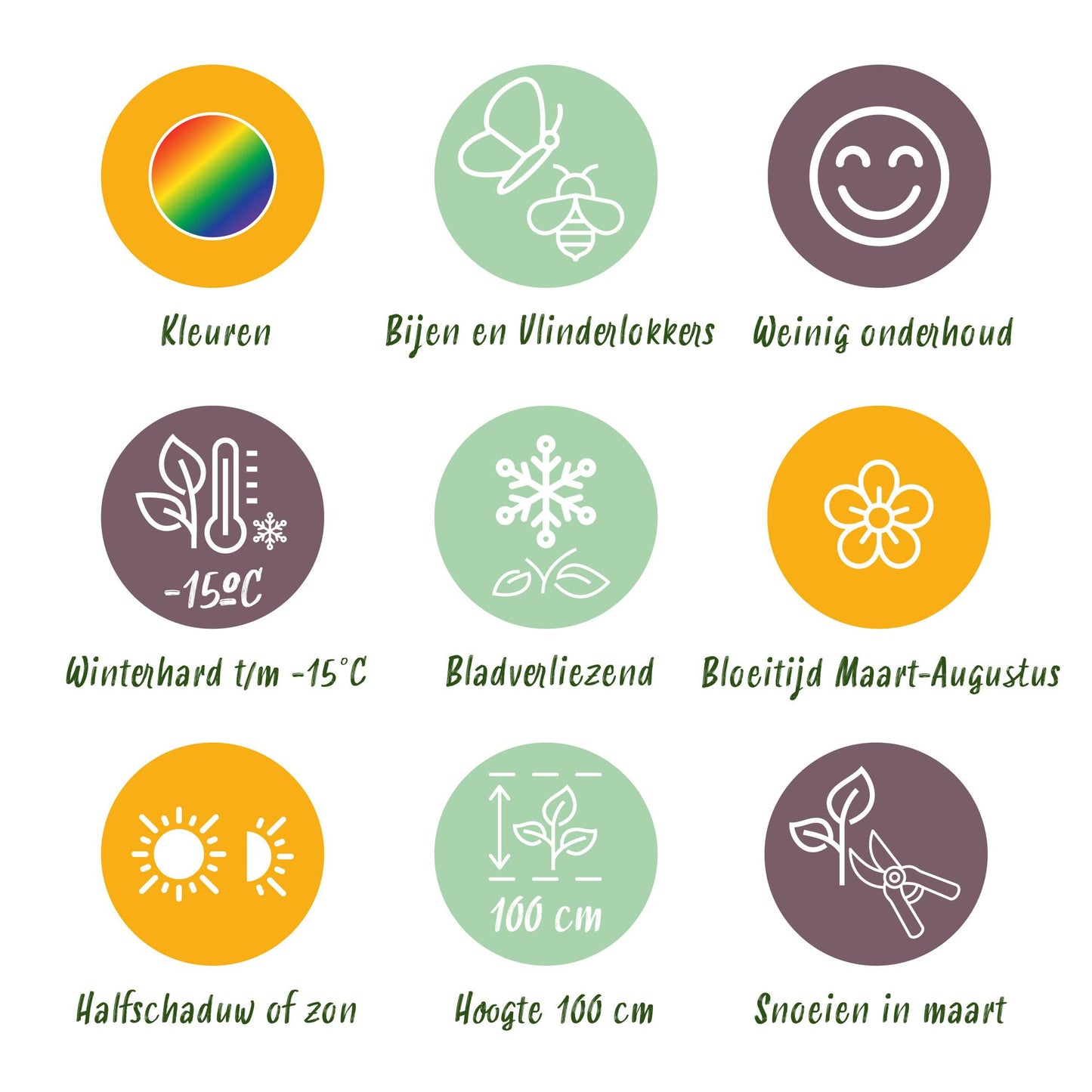 GreenboutiQ - Staudenpaket - Bienen- und Schmetterlingsanziehend - 24 Stauden - Für 3 m2 - Verschiedene Farben - Pflegeleicht - Topf 11cm