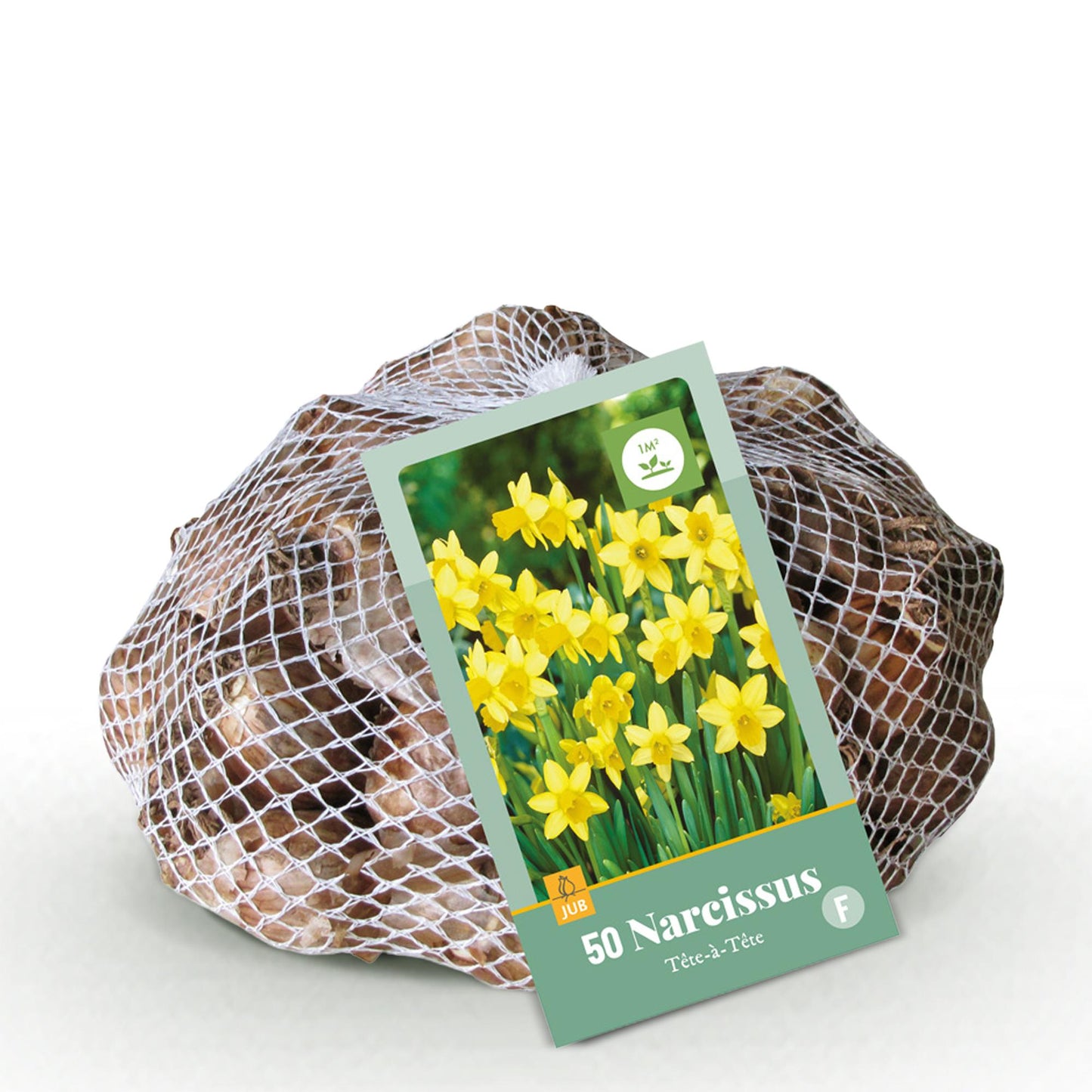 GreenboutiQ - Blumenzwiebeln - Narcis Tete-A-Tete - Farbe Gelb - 50 Stück - Zwiebelgröße 10/12