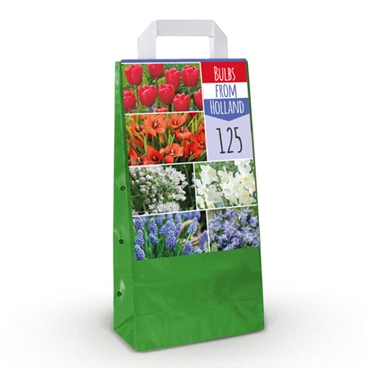 GreenboutiQ - Blumenzwiebeln - Bulbs From Holland - Verschiedene Farben - 125 Stück - Geschenkverpackung