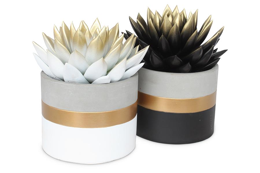 Echeveria Bicoloured in Gold Band Ceramics - 2 Stücke - Ø10,5 cm - ↕12 cm