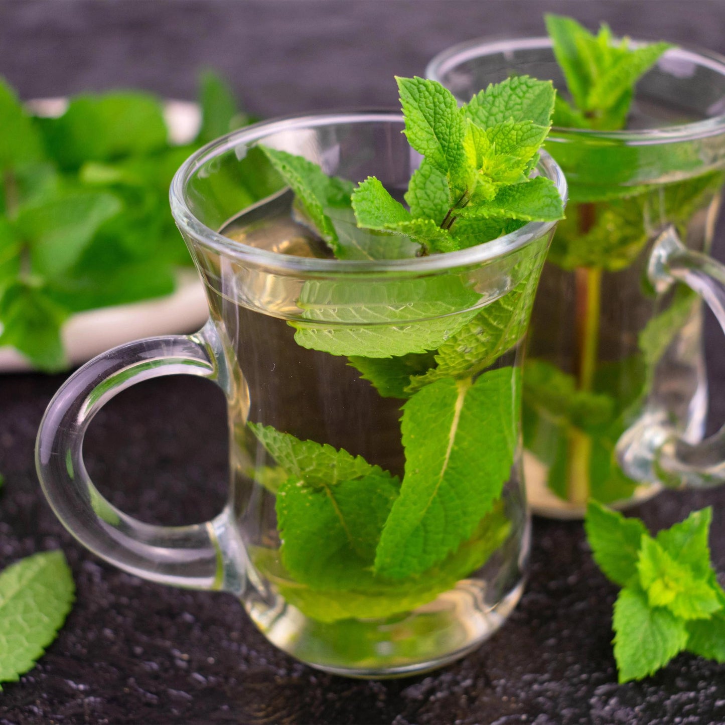 GreenboutiQ - Staudenpaket - Kräutertee - 8 Stauden - Für 1 m2 - Verschiedene Farben - Wenig Pflege - Topf 11cm