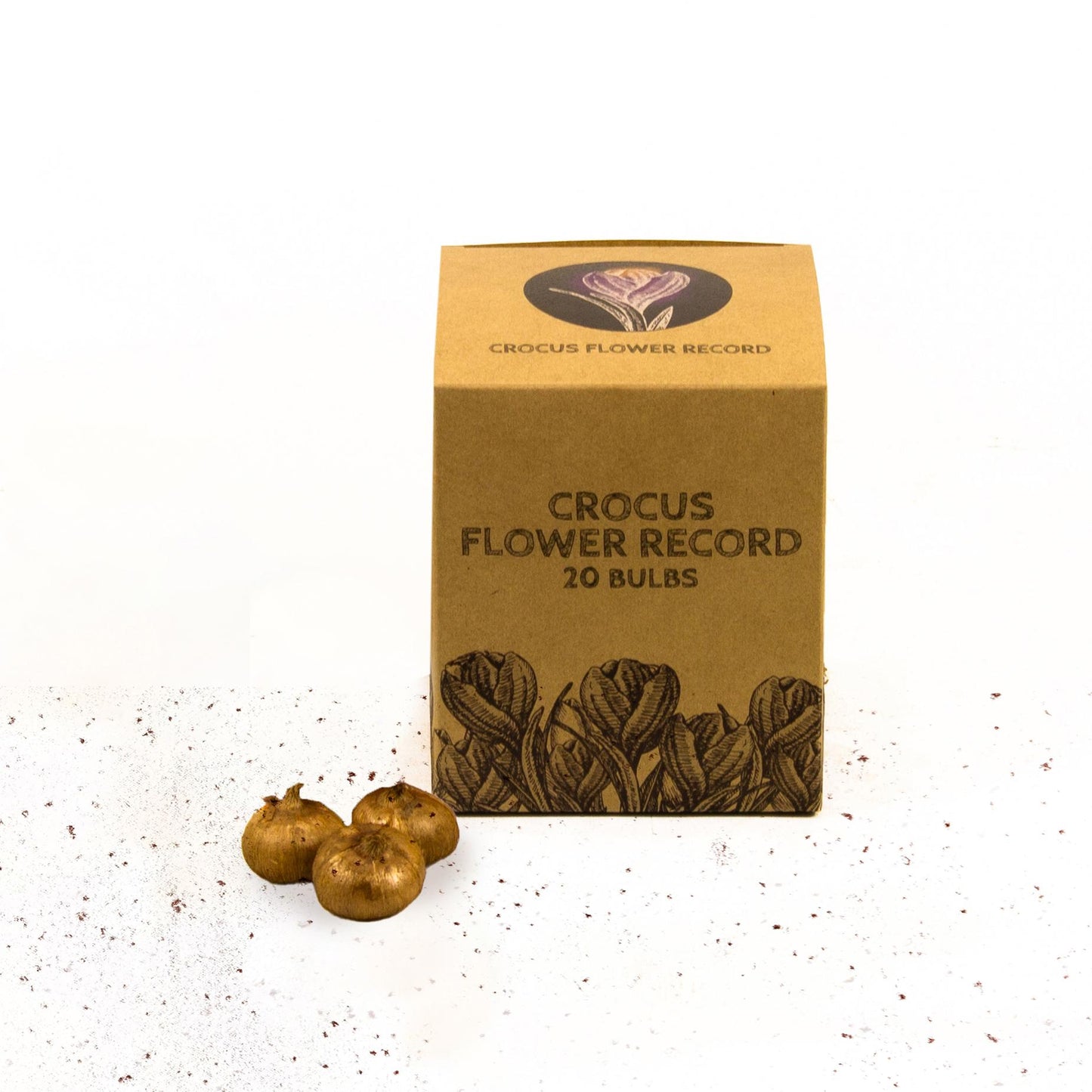 Flowerbulbs Amsterdam - Flower Record - 20 Blumenzwiebeln - Gr��e 8+