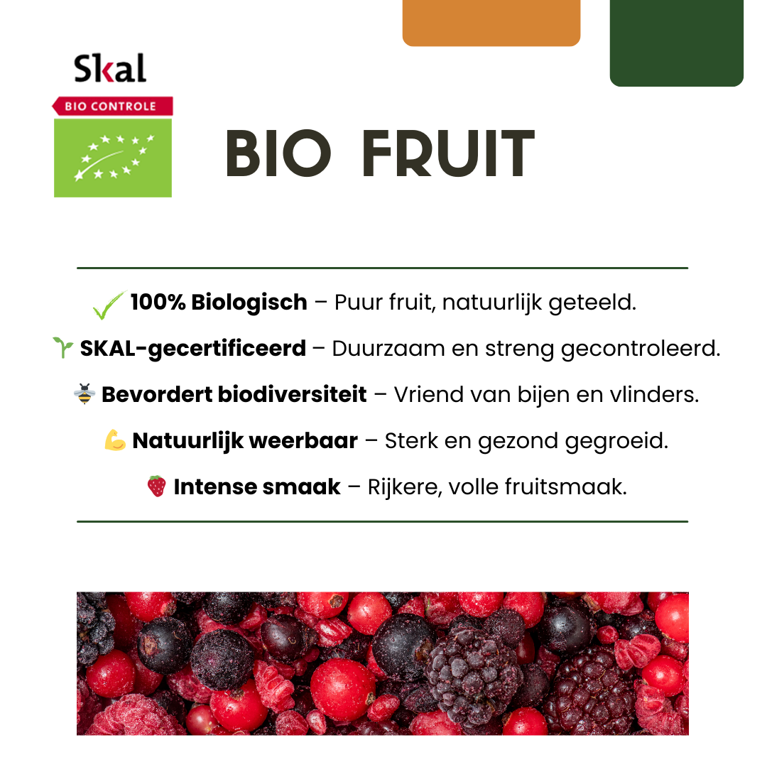 6 x Biologische Vijgenbomen - Ø 13 cm - ↨ 20 cm