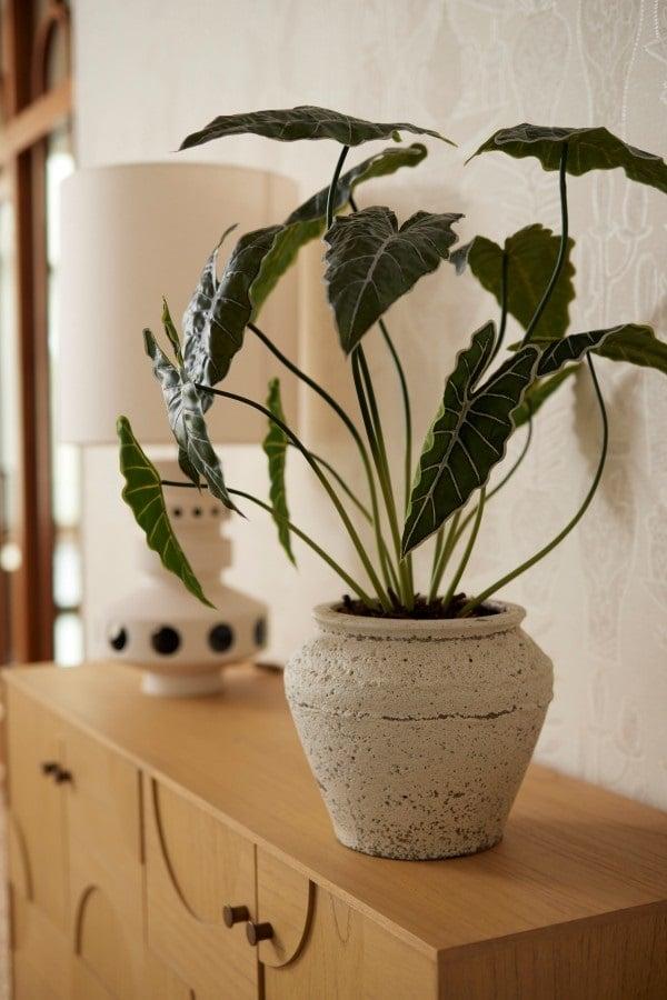 Alocasia 80cm - Kunstplant