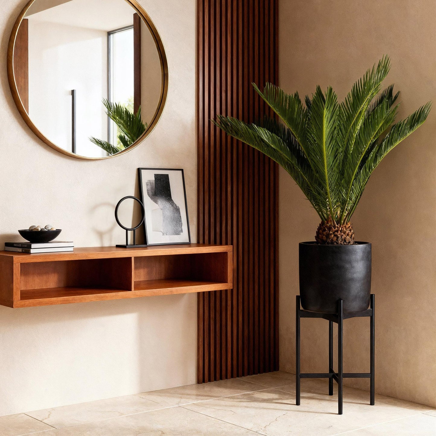 Green boutiQ - Zimmerpflanze - Cycas revoluta - Palmfarn - Wenig Pflege - Grün - 2 - Topf 17cm - Höhe 70cm