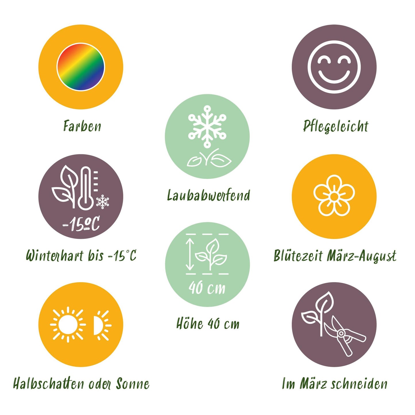 GreenboutiQ - Staudenpaket - Bodendecker - 8 Stauden - Für 1 m2 - Verschiedene Farben - Wenig Pflege - Topf 11cm