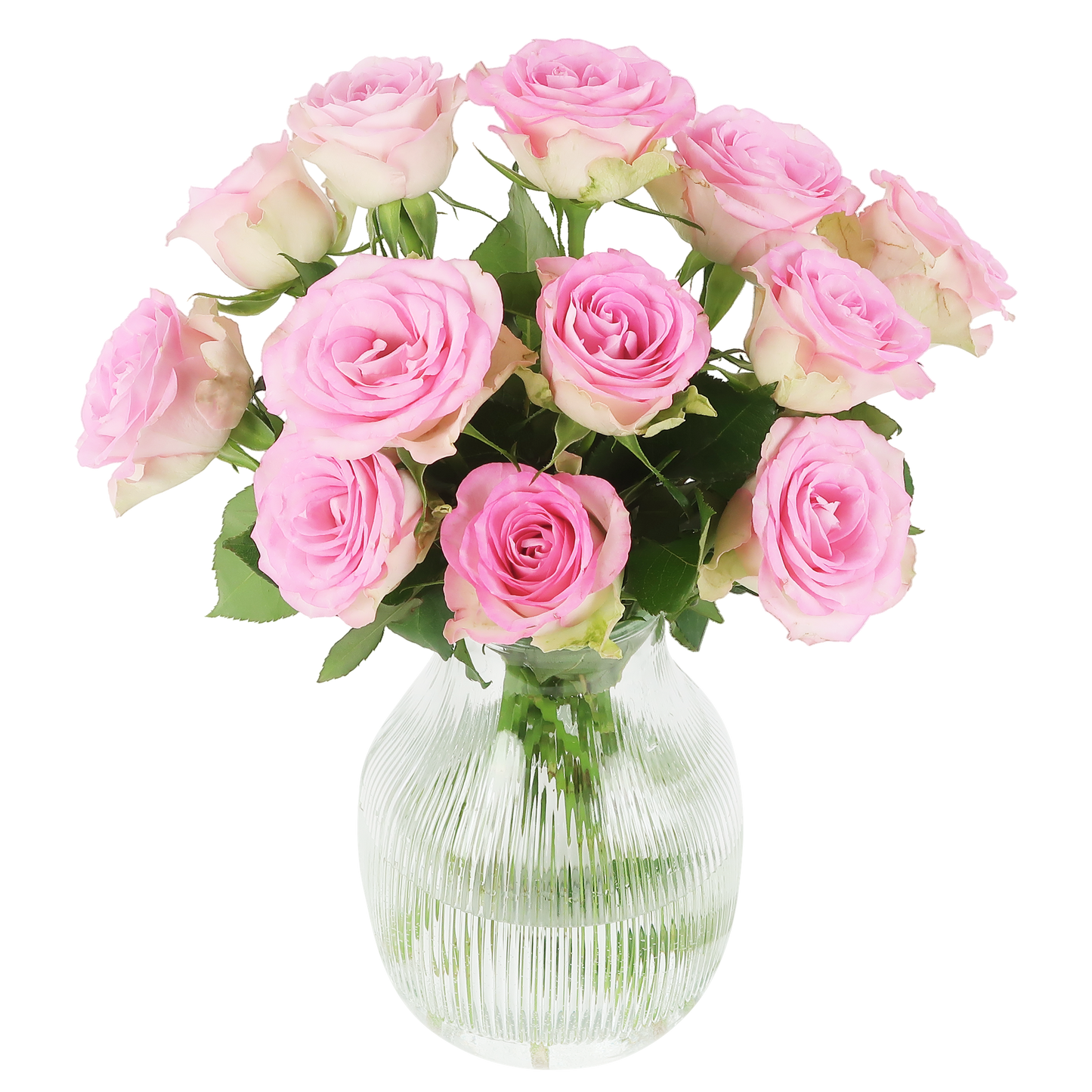 Süße Rosen -  rosa Rosen im Briefkastenpaket